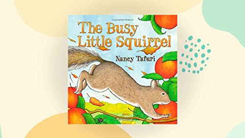 The busy little squirrel