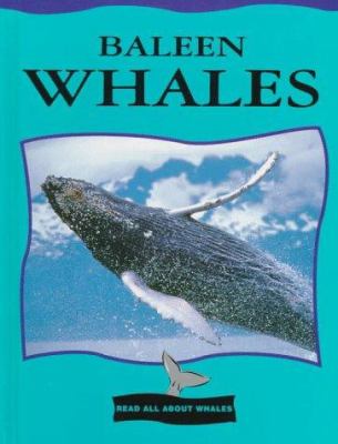 Baleen whales