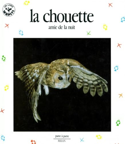 La chouette : amie de la nuit