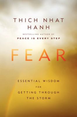 Fear : essential wisdom for getting through the storm