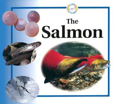 The salmon