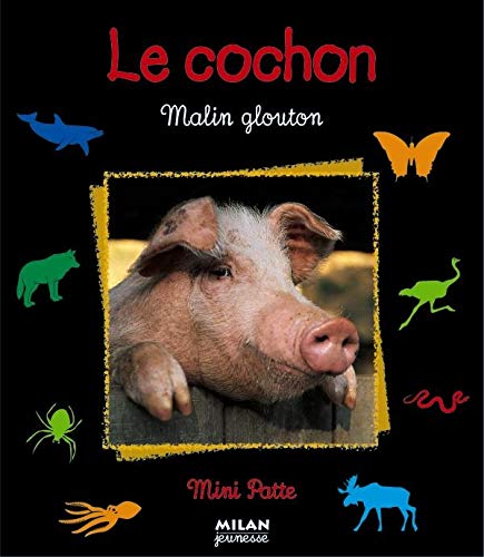 Le cochon : malin glouton