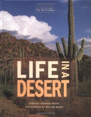 Life in a desert