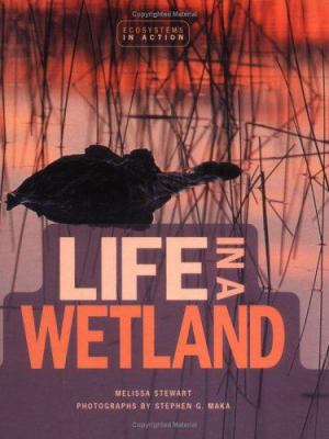 Life in a wetland