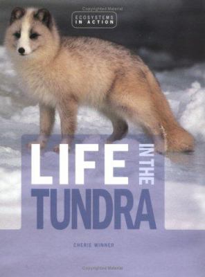 Life in the tundra