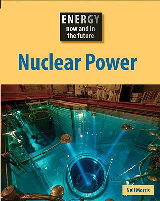 Nuclear power : now and in the future