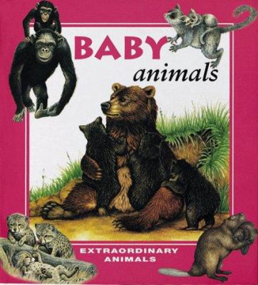 Baby animals