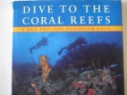 Dive to the coral reefs