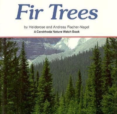 Fir trees