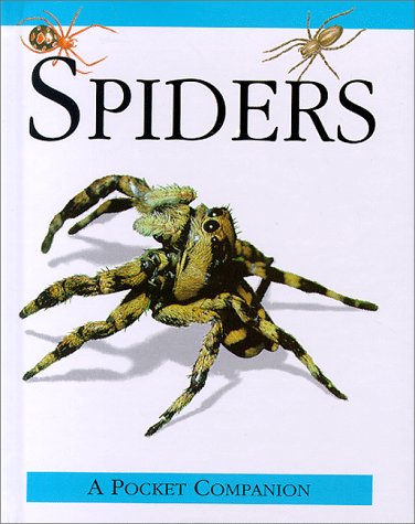 Spiders.