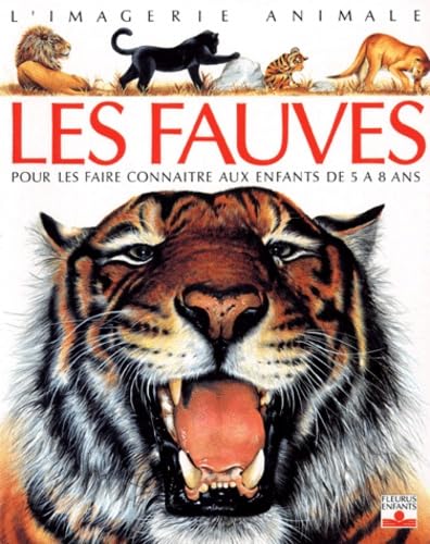 Les Fauves : pour les faire connaitre aux enfants de 5 a 8 ans