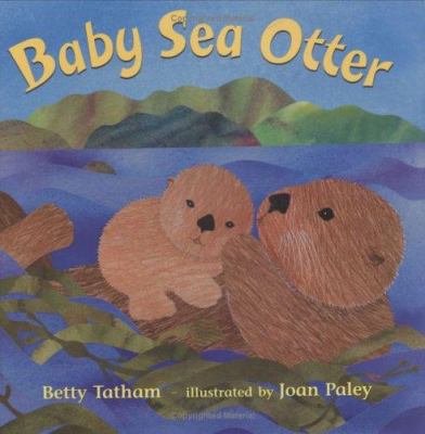 Baby sea otter