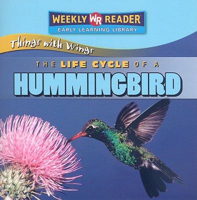 The life cycle of a hummingbird