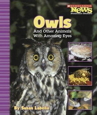Owls and other animals with amazing eyes