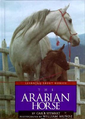 The arabian horse