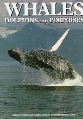 Whales, dolphins, and porpoises