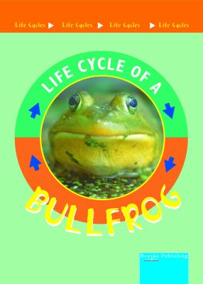 Bullfrog