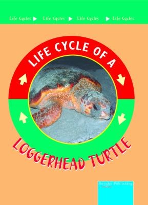 Loggerhead turtle