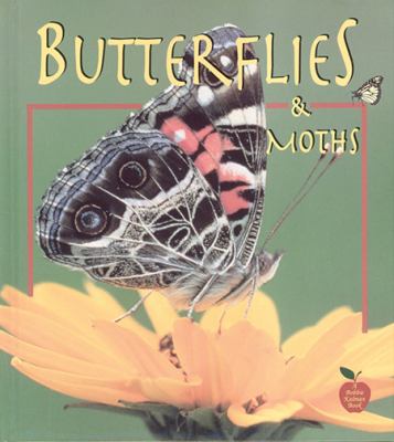 Butterflies and moths