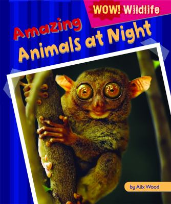 Amazing animals at night