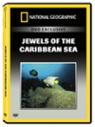 Jewels of the Caribbean Sea