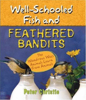 Well-schooled fish and feathered bandits : the wondrous ways animals learn from animals