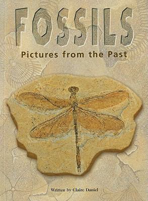 Fossils : pictures from the past
