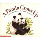A panda grows up