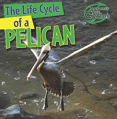 The life cycle of a pelican