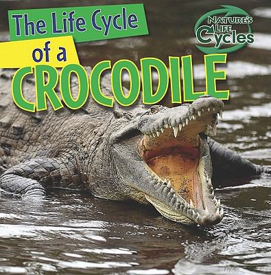 The life cycle of a crocodile