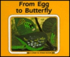 From egg to butterfly