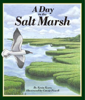 A day in the salt marsh