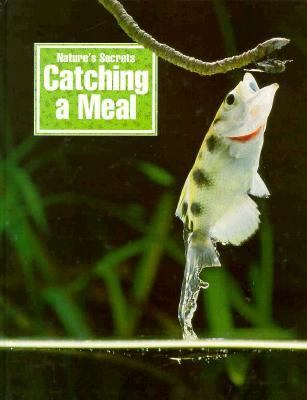 Catching a meal