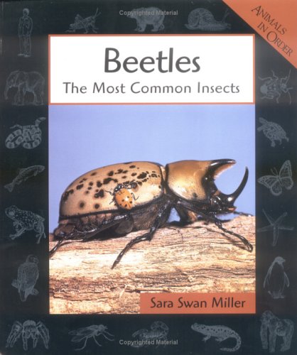 Beetles : the most common insects