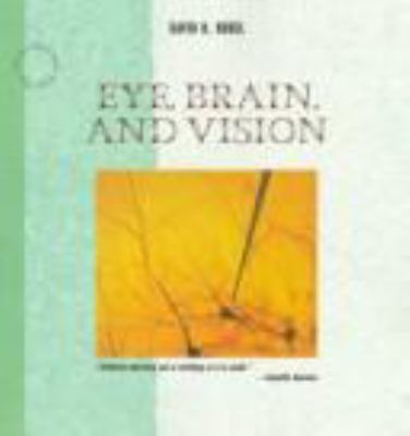 Eye, brain, and vision