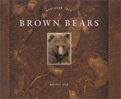 Brown bears