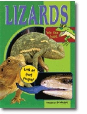 Lizards