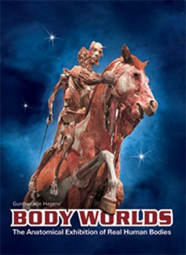 Gunther von Hagens' Body worlds : the anatomical exhibition of real human bodies : catalog on the exhibition.