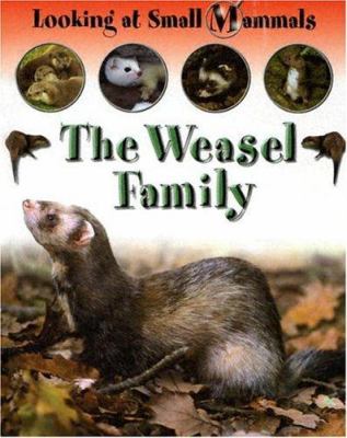 The weasel family