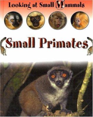 Small primates
