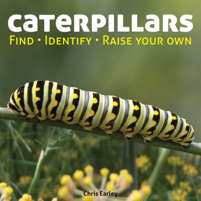 Caterpillars : find, identify, raise your own