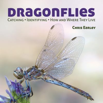Dragonflies : catching, identifying, how and where they live