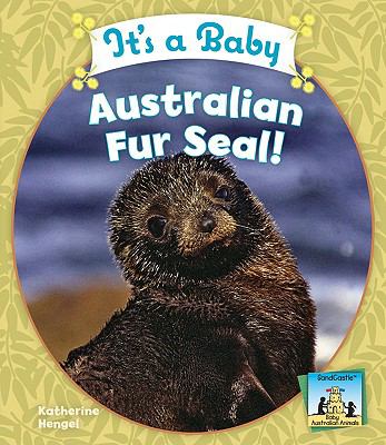 It's a baby Australian fur seal!