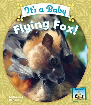 It's a baby flying fox!