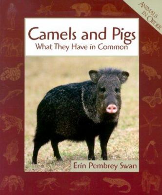 Camels and pigs : what they have in common