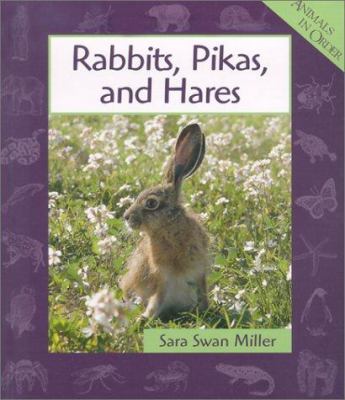 Rabbits, pikas, and hares