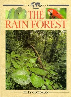 The rain forest