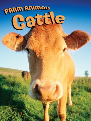 Cattle