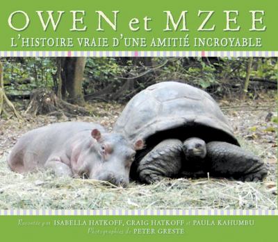 Owen et Mzee : l'histoire vraie d'une amitié incroyable