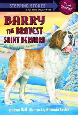 Barry the bravest Saint Bernard